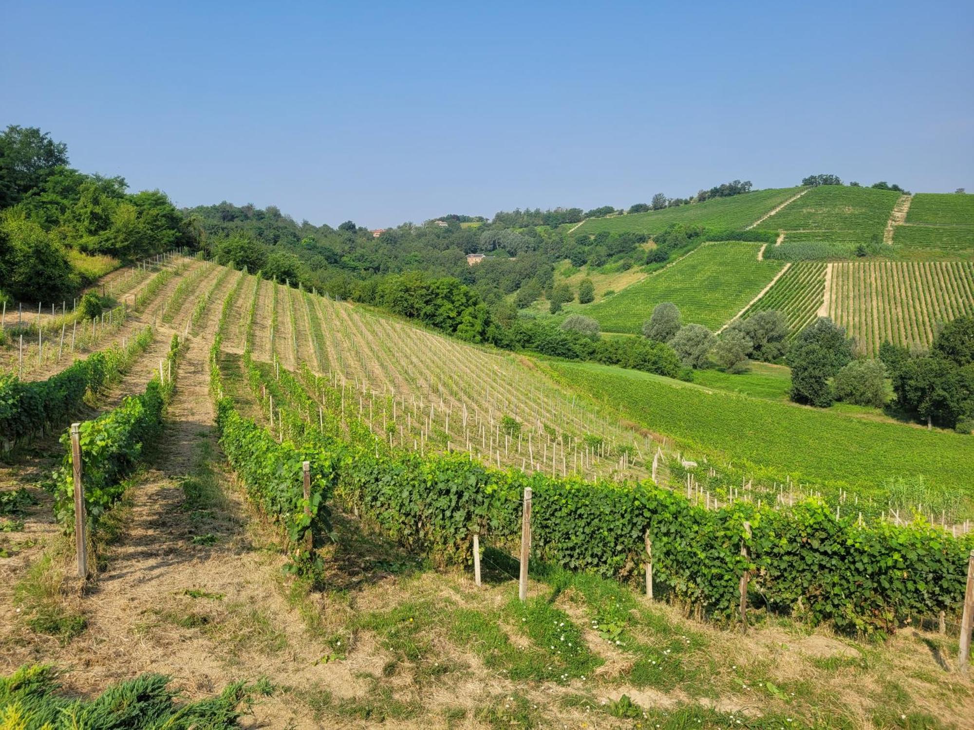 Cascina Allegria Castelnuovo  Exterior foto